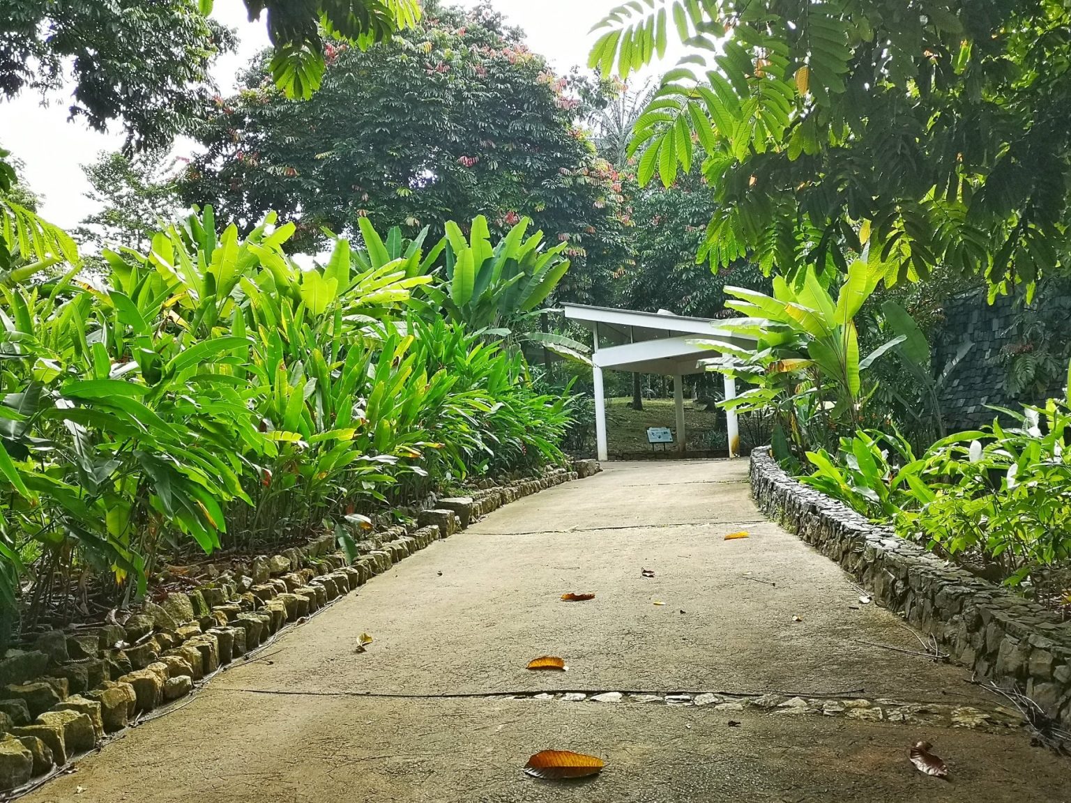 Taman Botani Putrajaya | Menarik di Central